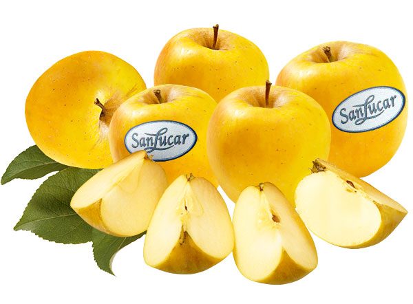 Opal® apple with vanilla and chocolate branches - SanLucar