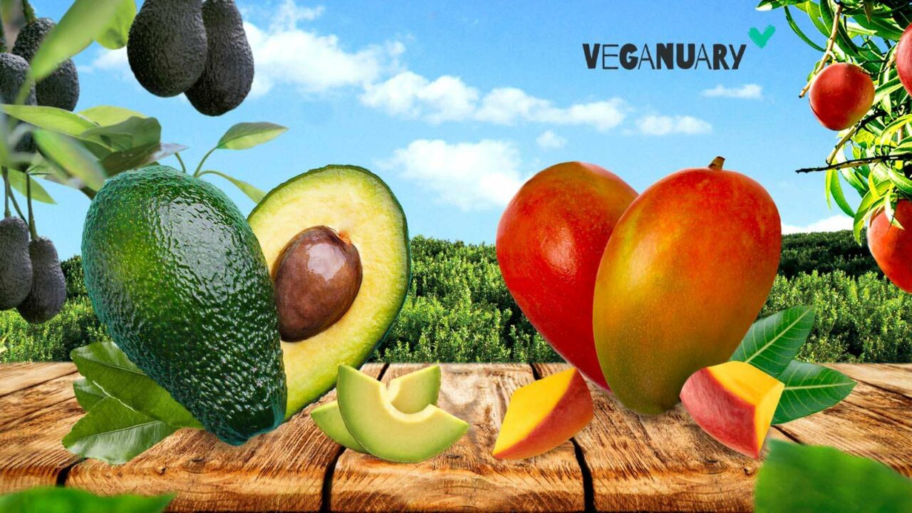 Veganuary Campaign